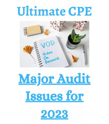 Major Audit Issues for 2023