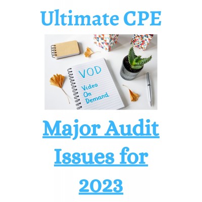 Major Audit Issues for 2023