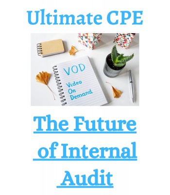 The Future of Internal Audit 2023